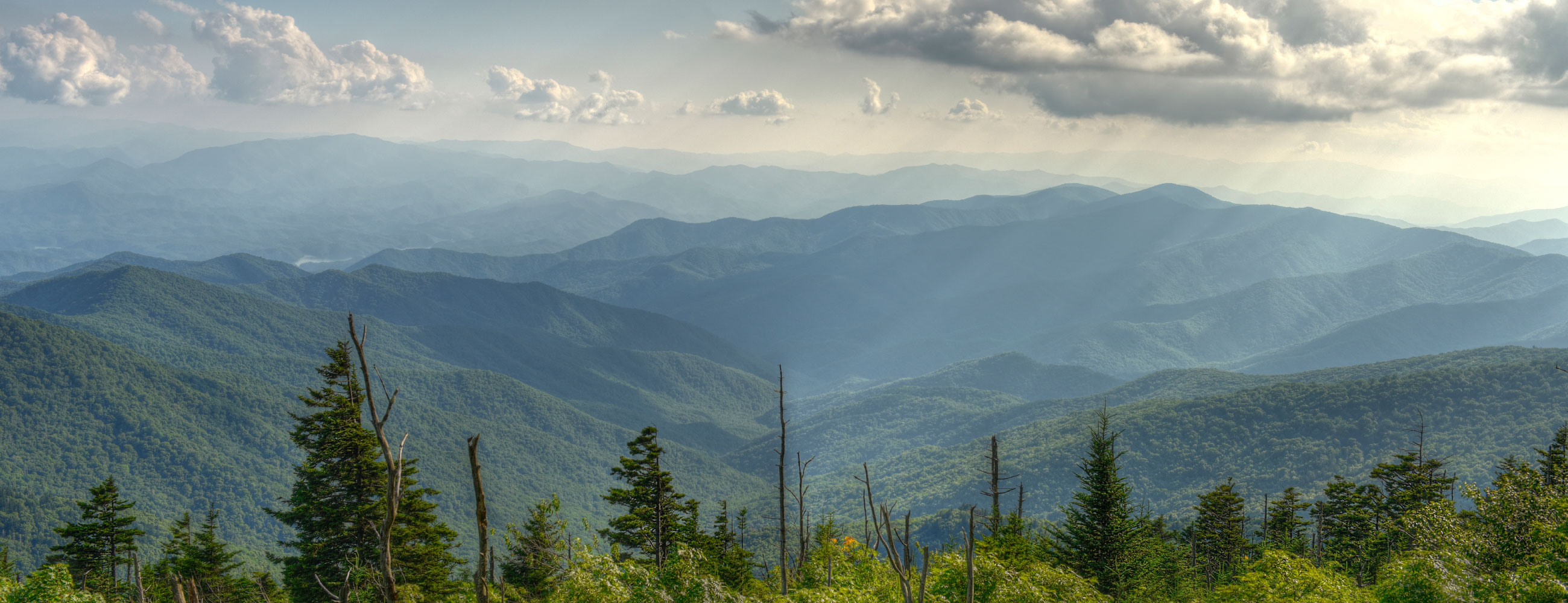 Tienda oficial Merch Culotauro